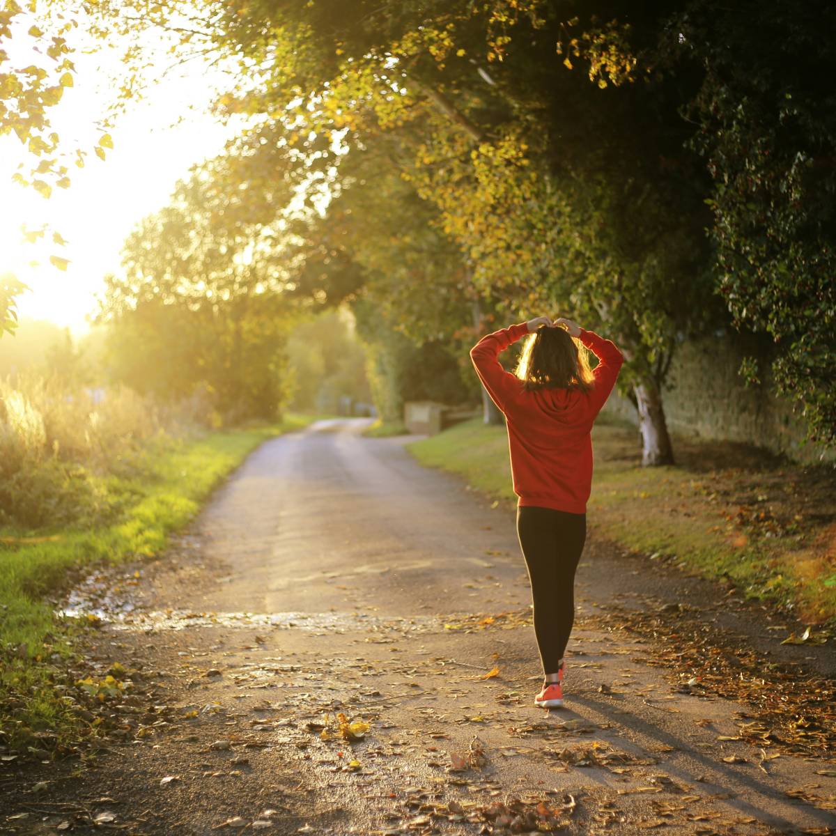 Understanding Stress, and What We Can Do About It