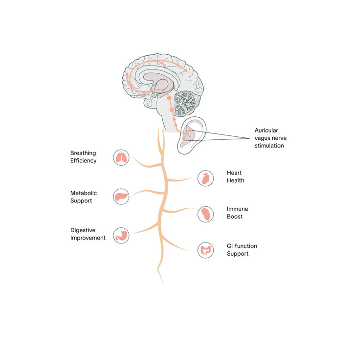 Research Frontiers | Large Language Models for Longitudinal Symptom Tracking Following Vagus Nerve Stimulator Implantation